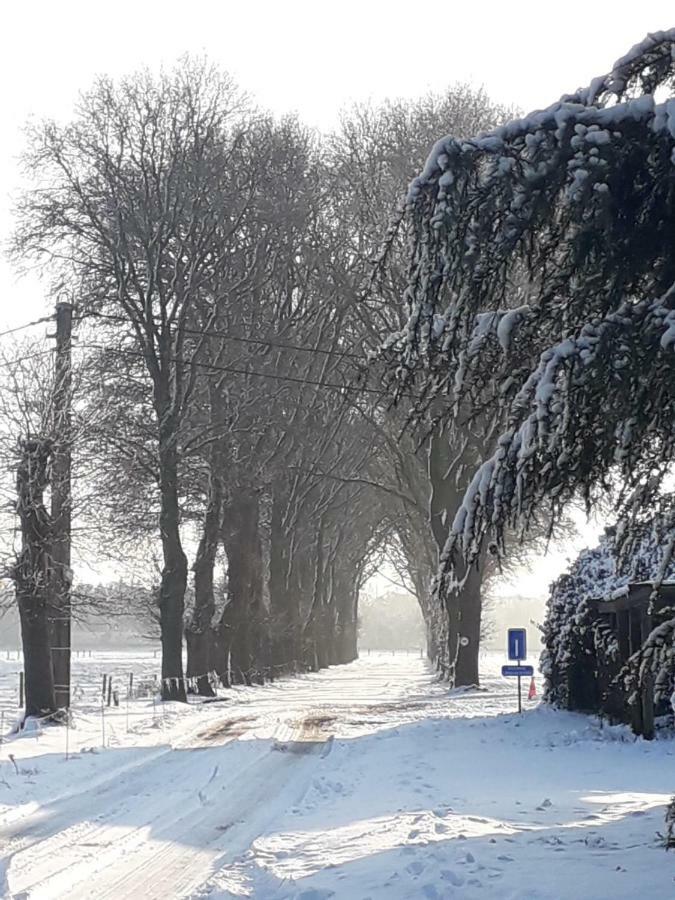 Hauwaertshoeve Бернем Екстер'єр фото